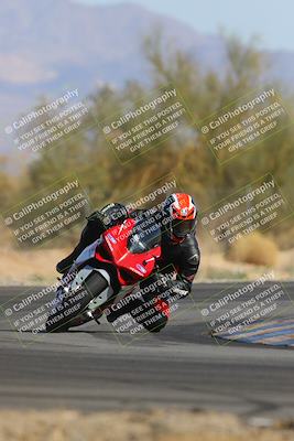 media/Feb-04-2023-SoCal Trackdays (Sat) [[8a776bf2c3]]/Turn 2 (1140am)/